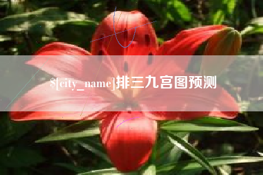 安丘排三九宫图预测