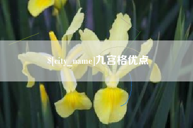 安丘九宫格优点