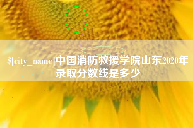 安丘中国消防救援学院山东2020年录取分数线是多少