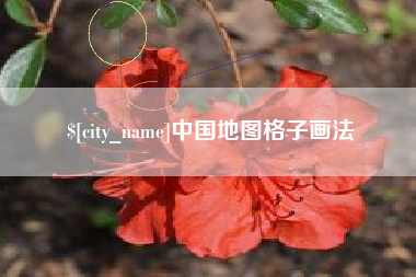 安丘中国地图格子画法