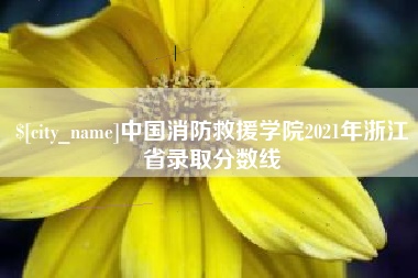 安丘中国消防救援学院2021年浙江省录取分数线