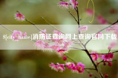 安丘消防证查询网上查询官网下载