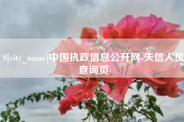 安丘中国执政信息公开网-失信人员查询页