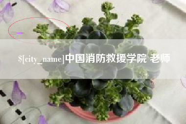 安丘中国消防救援学院 老师
