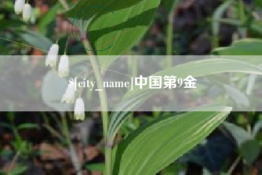 安丘中国第9金