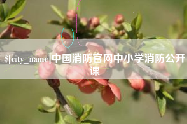 安丘中国消防官网中小学消防公开课