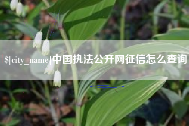 安丘中国执法公开网征信怎么查询