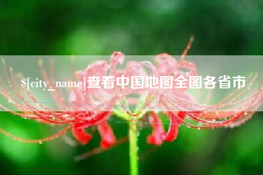 安丘查看中国地图全图各省市