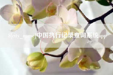 安丘中国执行记录查询系统app