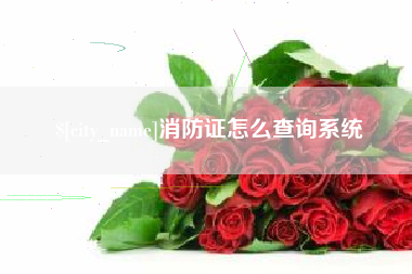 安丘消防证怎么查询系统