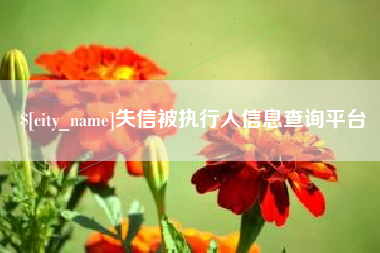 安丘失信被执行人信息查询平台