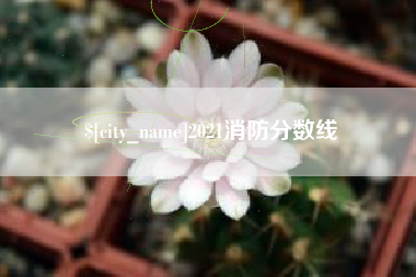 安丘2021消防分数线
