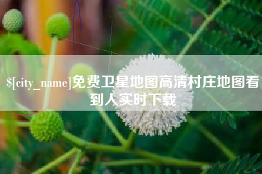 安丘免费卫星地图高清村庄地图看到人实时下载