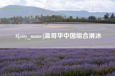 安丘温哥华中国组合滑冰
