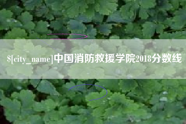安丘中国消防救援学院2018分数线