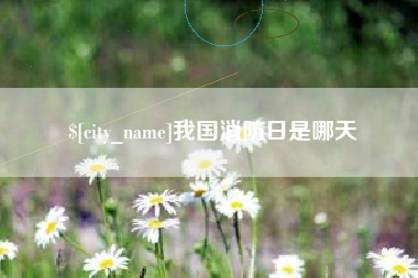 安丘我国消防日是哪天