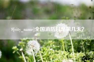 安丘全国消防日是第几天？