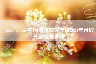 安丘中国消防救援学院2024年录取分数线是多少