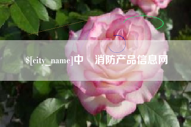安丘中囯消防产品信息网