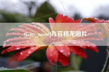 安丘九宫格龙图片