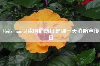 安丘我国消防日是哪一天消防宣传日
