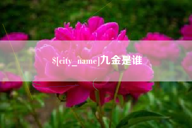 安丘九金是谁