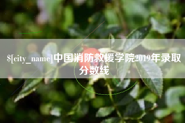 安丘中国消防救援学院2019年录取分数线