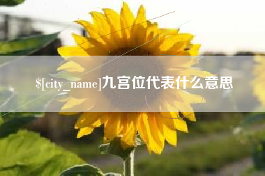 安丘九宫位代表什么意思