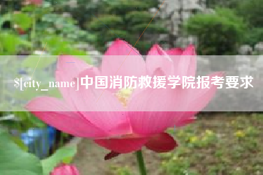 安丘中国消防救援学院报考要求