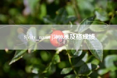安丘5000米及格成绩