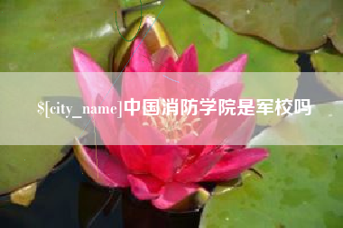 安丘中国消防学院是军校吗