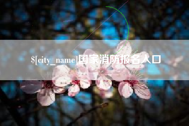 安丘国家消防报名入口