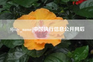 安丘中国执行信息公开网后