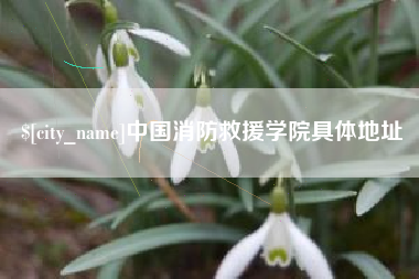 安丘中国消防救援学院具体地址