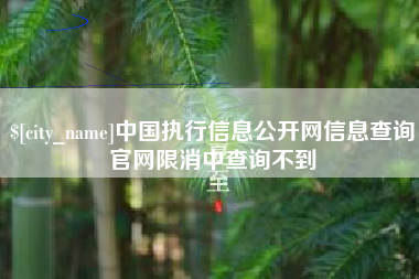安丘中国执行信息公开网信息查询官网限消中查询不到