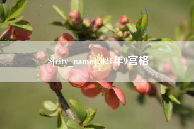 安丘2021年9宫格
