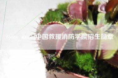 安丘中国救援消防学院招生简章