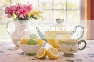 安丘中国消防救援学院分数2020