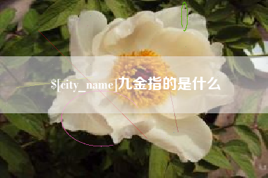 安丘九金指的是什么