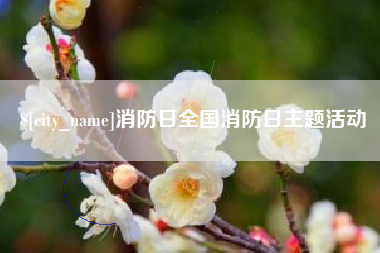 安丘消防日全国消防日主题活动