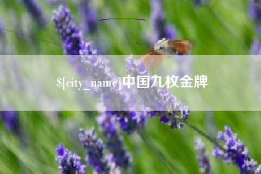 安丘中国九枚金牌