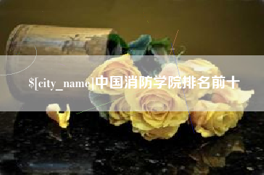 安丘中国消防学院排名前十