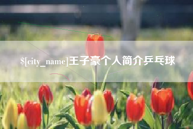 安丘王子豪个人简介乒乓球