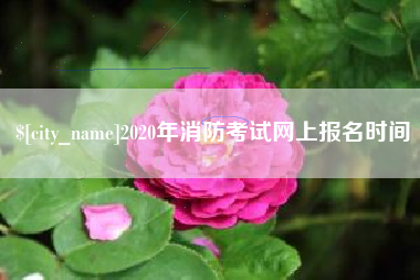 安丘2020年消防考试网上报名时间
