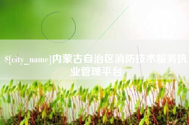 安丘内蒙古自治区消防技术服务执业管理平台