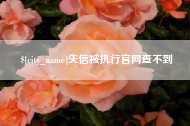 安丘失信被执行官网查不到