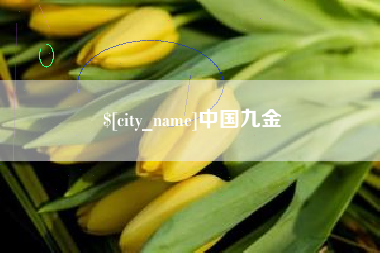 安丘中国九金