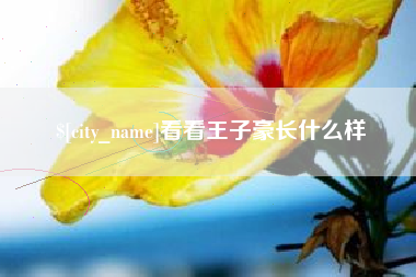 安丘看看王子豪长什么样