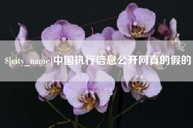 安丘中国执行信息公开网真的假的