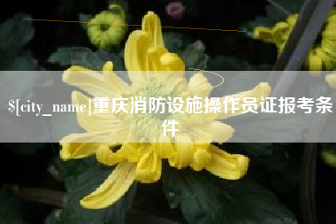 安丘重庆消防设施操作员证报考条件